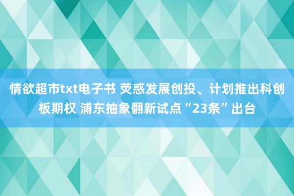 情欲超市txt电子书 荧惑发展创投、计划推出科创板期权 浦东抽象翻新试点“23条”出台