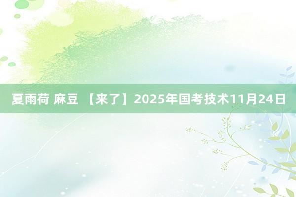 夏雨荷 麻豆 【来了】2025年国考技术11月24日