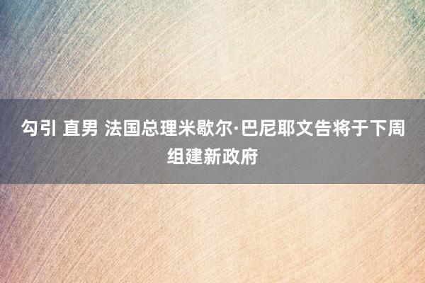 勾引 直男 法国总理米歇尔·巴尼耶文告将于下周组建新政府