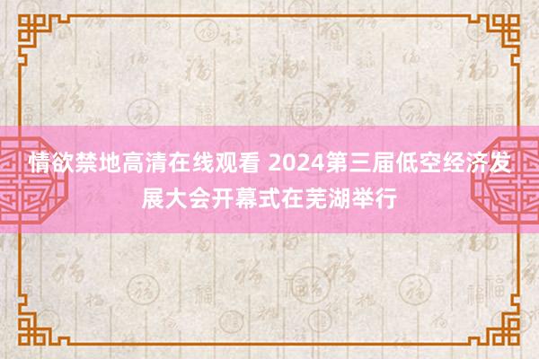 情欲禁地高清在线观看 2024第三届低空经济发展大会开幕式在芜湖举行