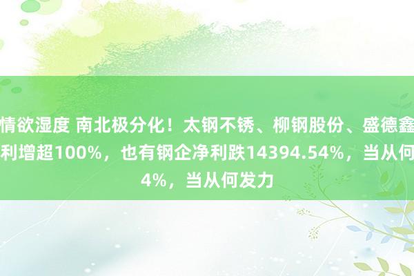 情欲湿度 南北极分化！太钢不锈、柳钢股份、盛德鑫泰净利增超100%，也有钢企净利跌14394.54%，当从何发力