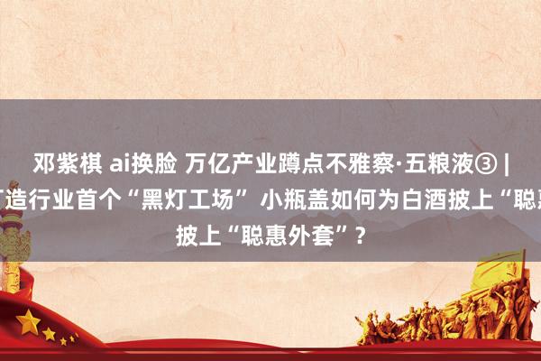 邓紫棋 ai换脸 万亿产业蹲点不雅察·五粮液③ | 勉力于打造行业首个“黑灯工场” 小瓶盖如何为白酒披上“聪惠外套”？