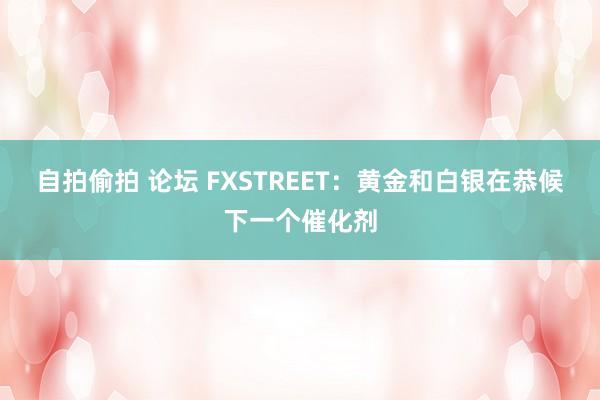 自拍偷拍 论坛 FXSTREET：黄金和白银在恭候下一个催化剂