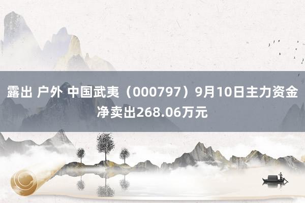 露出 户外 中国武夷（000797）9月10日主力资金净卖出268.06万元