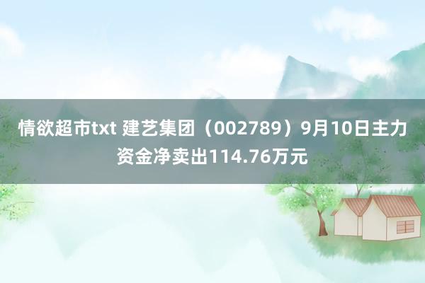 情欲超市txt 建艺集团（002789）9月10日主力资金净卖出114.76万元