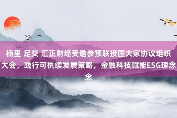 楠里 足交 汇正财经受邀参预联接国大家协议组织大会，践行可执续发展策略，金融科技赋能ESG理念