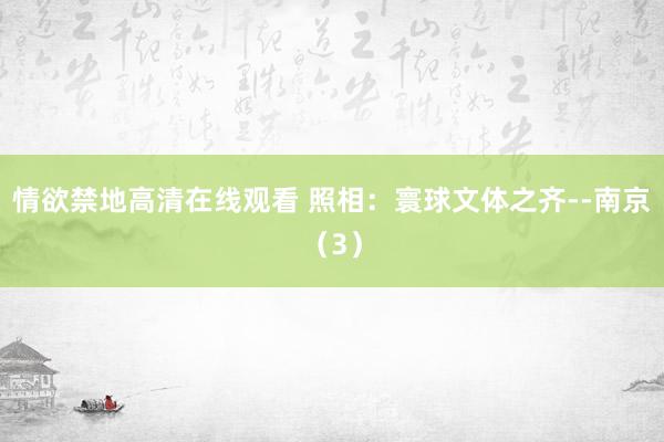 情欲禁地高清在线观看 照相：寰球文体之齐--南京（3）