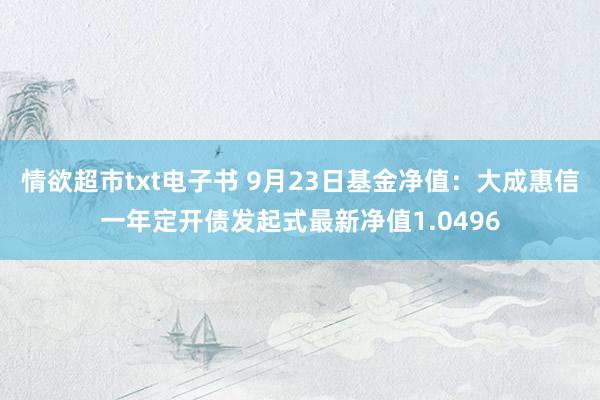 情欲超市txt电子书 9月23日基金净值：大成惠信一年定开债发起式最新净值1.0496