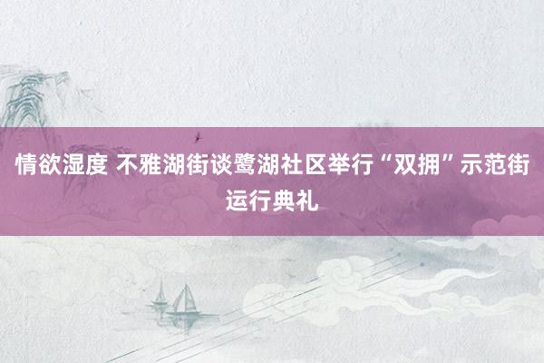 情欲湿度 不雅湖街谈鹭湖社区举行“双拥”示范街运行典礼