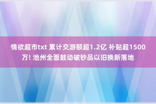 情欲超市txt 累计交游额超1.2亿 补贴超1500万! 池州全面鼓动破钞品以旧换新落地