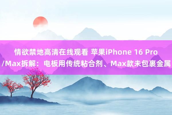 情欲禁地高清在线观看 苹果iPhone 16 Pro/Max拆解：电板用传统粘合剂、Max款未包裹金属