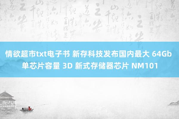 情欲超市txt电子书 新存科技发布国内最大 64Gb 单芯片容量 3D 新式存储器芯片 NM101