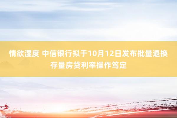 情欲湿度 中信银行拟于10月12日发布批量退换存量房贷利率操作笃定