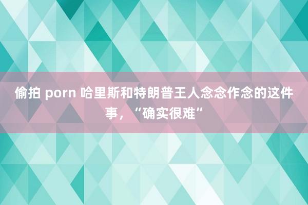 偷拍 porn 哈里斯和特朗普王人念念作念的这件事，“确实很难”