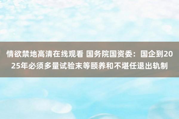 情欲禁地高清在线观看 国务院国资委：国企到2025年必须多量试验末等颐养和不堪任退出轨制