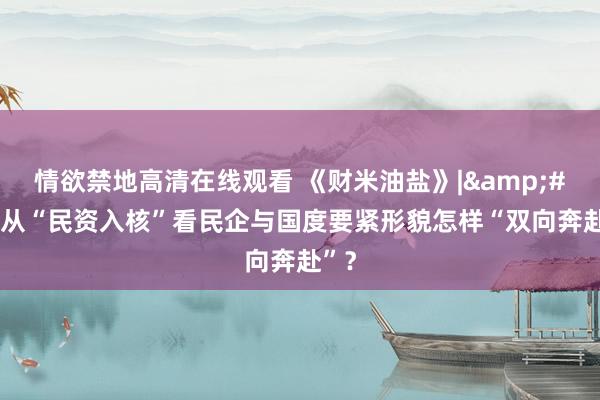 情欲禁地高清在线观看 《财米油盐》|&#32;从“民资入核”看民企与国度要紧形貌怎样“双向奔赴”？