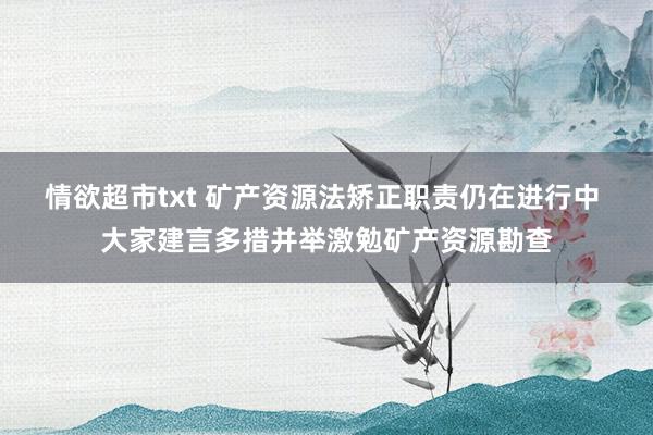 情欲超市txt 矿产资源法矫正职责仍在进行中 大家建言多措并举激勉矿产资源勘查