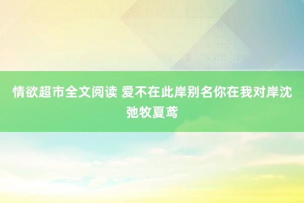 情欲超市全文阅读 爱不在此岸别名你在我对岸沈弛牧夏鸢