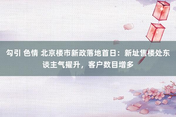 勾引 色情 北京楼市新政落地首日：新址售楼处东谈主气擢升，客户数目增多