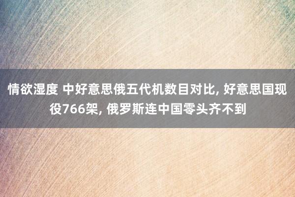 情欲湿度 中好意思俄五代机数目对比， 好意思国现役766架， 俄罗斯连中国零头齐不到