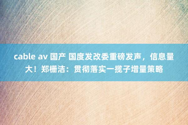 cable av 国产 国度发改委重磅发声，信息量大！郑栅洁：贯彻落实一揽子增量策略