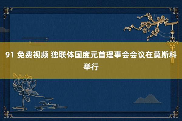 91 免费视频 独联体国度元首理事会会议在莫斯科举行