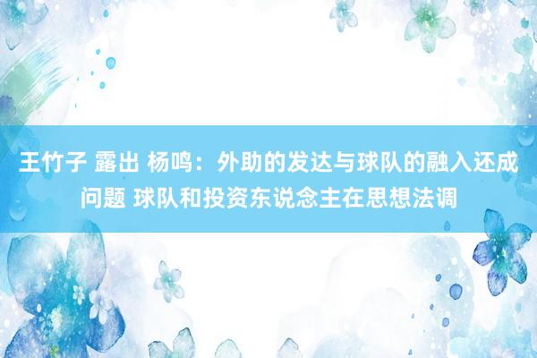 王竹子 露出 杨鸣：外助的发达与球队的融入还成问题 球队和投资东说念主在思想法调