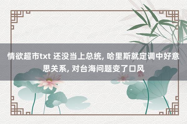 情欲超市txt 还没当上总统， 哈里斯就定调中好意思关系， 对台海问题变了口风