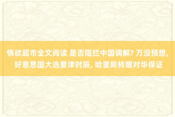 情欲超市全文阅读 是否阻拦中国调解? 万没预想， 好意思国大选要津时辰， 哈里斯转眼对华保证