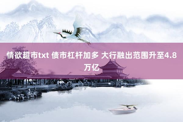 情欲超市txt 债市杠杆加多 大行融出范围升至4.8万亿