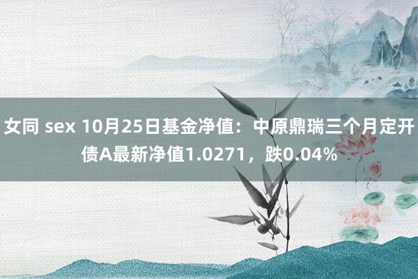 女同 sex 10月25日基金净值：中原鼎瑞三个月定开债A最新净值1.0271，跌0.04%