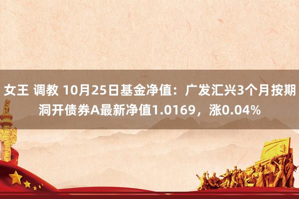 女王 调教 10月25日基金净值：广发汇兴3个月按期洞开债券A最新净值1.0169，涨0.04%