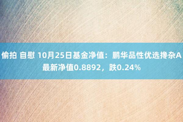 偷拍 自慰 10月25日基金净值：鹏华品性优选搀杂A最新净值0.8892，跌0.24%