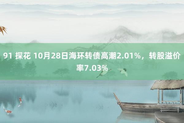 91 探花 10月28日海环转债高潮2.01%，转股溢价率7.03%