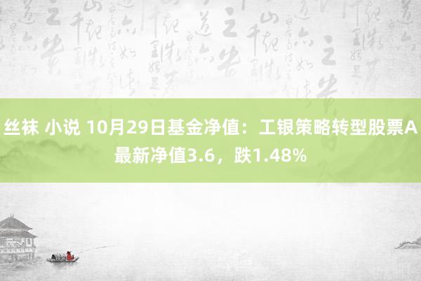 丝袜 小说 10月29日基金净值：工银策略转型股票A最新净值3.6，跌1.48%