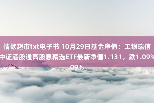 情欲超市txt电子书 10月29日基金净值：工银瑞信中证港股通高股息精选ETF最新净值1.131，跌1.09%