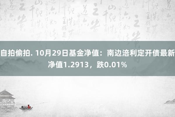 自拍偷拍. 10月29日基金净值：南边涪利定开债最新净值1.2913，跌0.01%