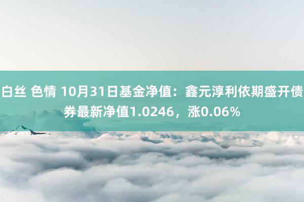 白丝 色情 10月31日基金净值：鑫元淳利依期盛开债券最新净值1.0246，涨0.06%