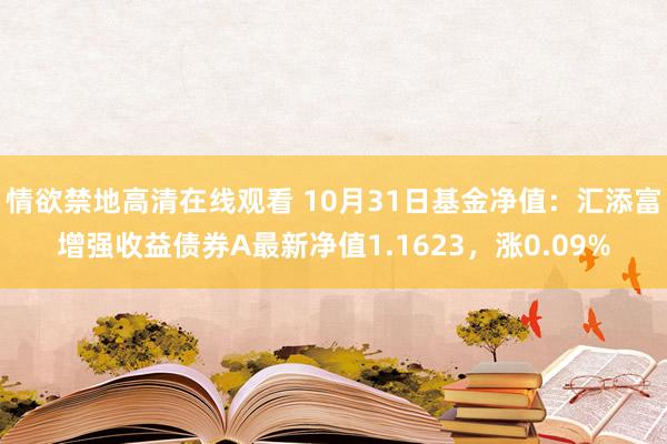 情欲禁地高清在线观看 10月31日基金净值：汇添富增强收益债券A最新净值1.1623，涨0.09%