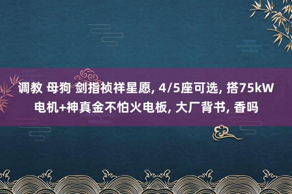 调教 母狗 剑指祯祥星愿， 4/5座可选， 搭75kW电机+神真金不怕火电板， 大厂背书， 香吗