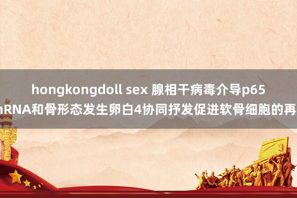 hongkongdoll sex 腺相干病毒介导p65shRNA和骨形态发生卵白4协同抒发促进软骨细胞的再生