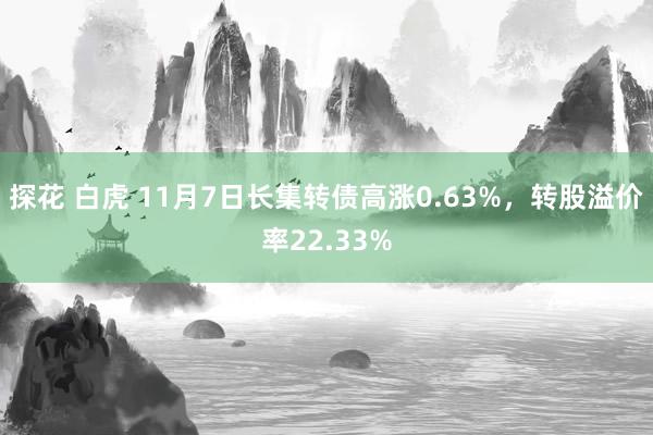 探花 白虎 11月7日长集转债高涨0.63%，转股溢价率22.33%