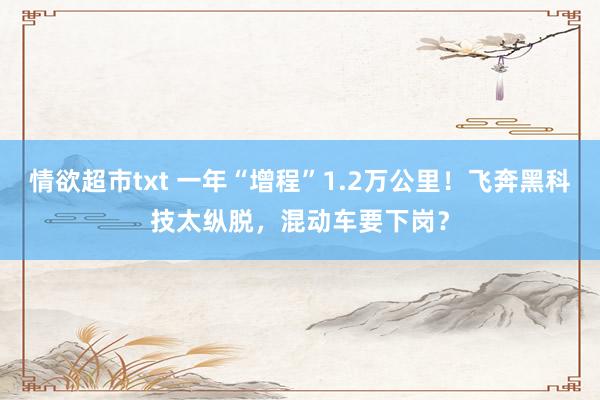 情欲超市txt 一年“增程”1.2万公里！飞奔黑科技太纵脱，混动车要下岗？