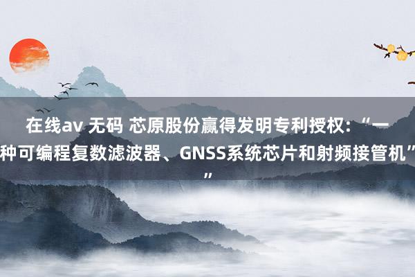 在线av 无码 芯原股份赢得发明专利授权: “一种可编程复数滤波器、GNSS系统芯片和射频接管机”