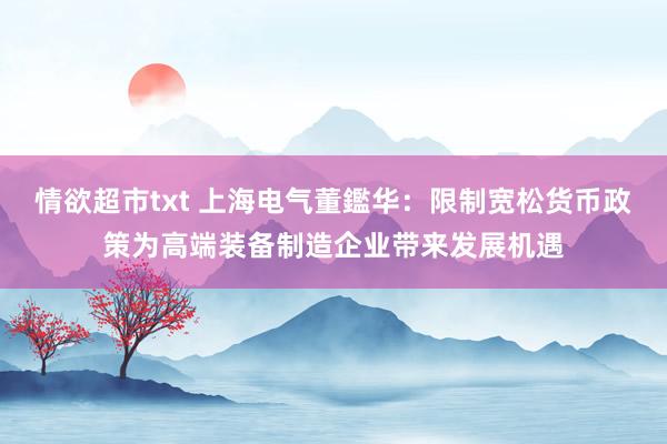 情欲超市txt 上海电气董鑑华：限制宽松货币政策为高端装备制造企业带来发展机遇