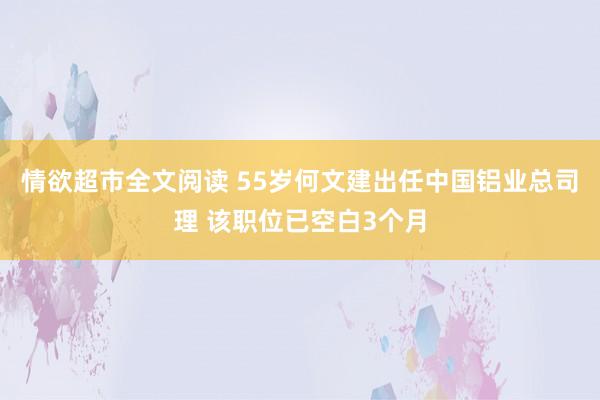 情欲超市全文阅读 55岁何文建出任中国铝业总司理 该职位已空白3个月