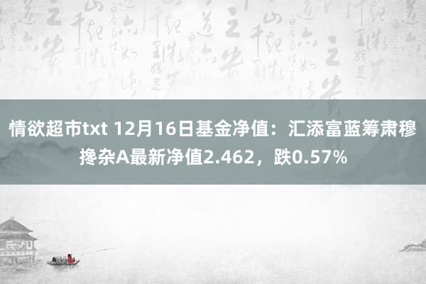 情欲超市txt 12月16日基金净值：汇添富蓝筹肃穆搀杂A最新净值2.462，跌0.57%