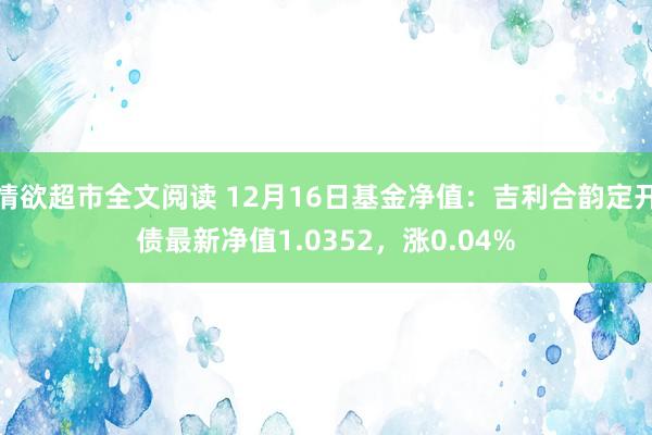 情欲超市全文阅读 12月16日基金净值：吉利合韵定开债最新净值1.0352，涨0.04%