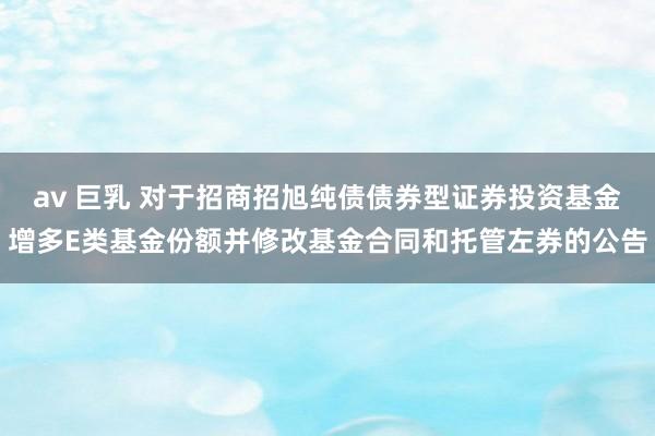 av 巨乳 对于招商招旭纯债债券型证券投资基金增多E类基金份额并修改基金合同和托管左券的公告