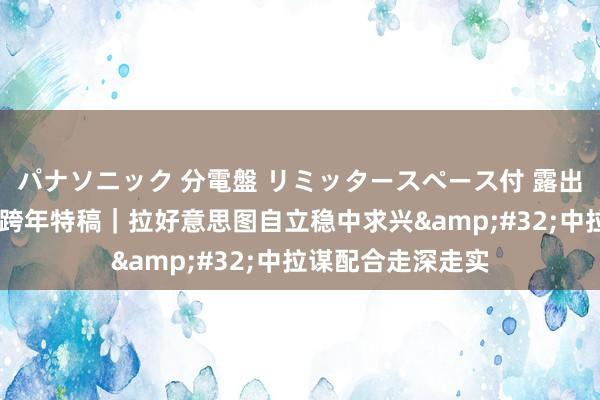 パナソニック 分電盤 リミッタースペース付 露出・半埋込両用形 跨年特稿｜拉好意思图自立稳中求兴&#32;中拉谋配合走深走实